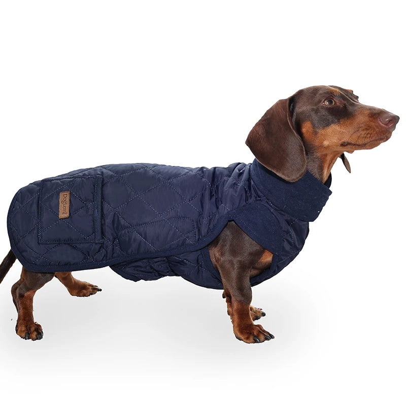 Winter Dog Coat for Dachshund ā Water-Repellent Quilted Jacket for Small, Short-Leg Dogs š¾