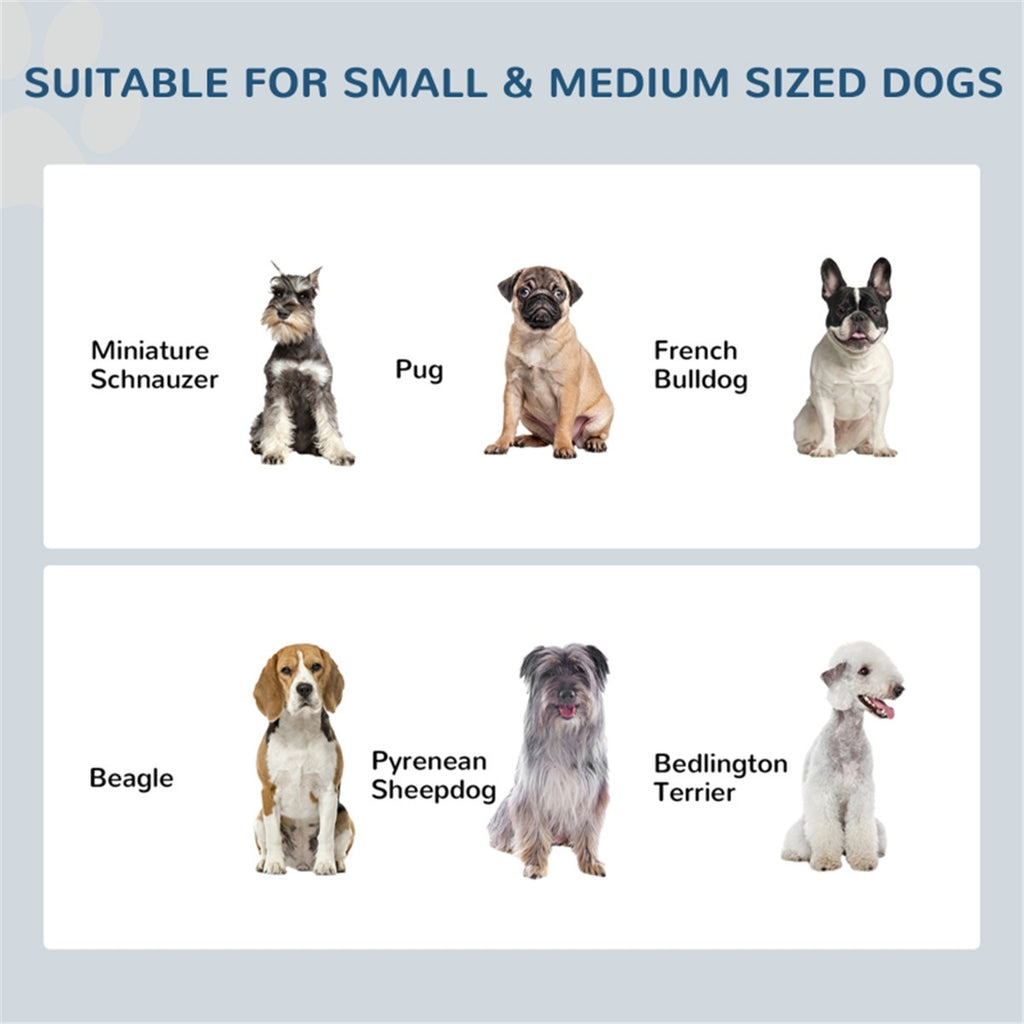 All-in-One Dog Bowls & Pet Feeding Storage Station