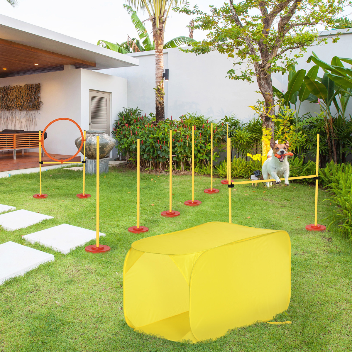4-Piece Dog Agility Set for Easy Backyard Training Course