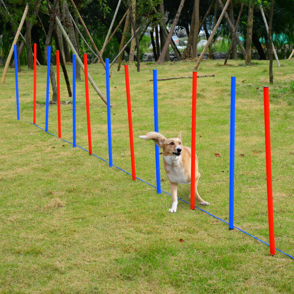 All-in-One Pet Agility Training Kit: Hoop, Poles, Tunnel