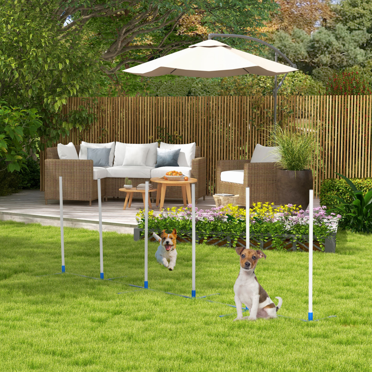 Six-Pole Dog Agility Starter Kit with Foldable Poles & Carry Bag