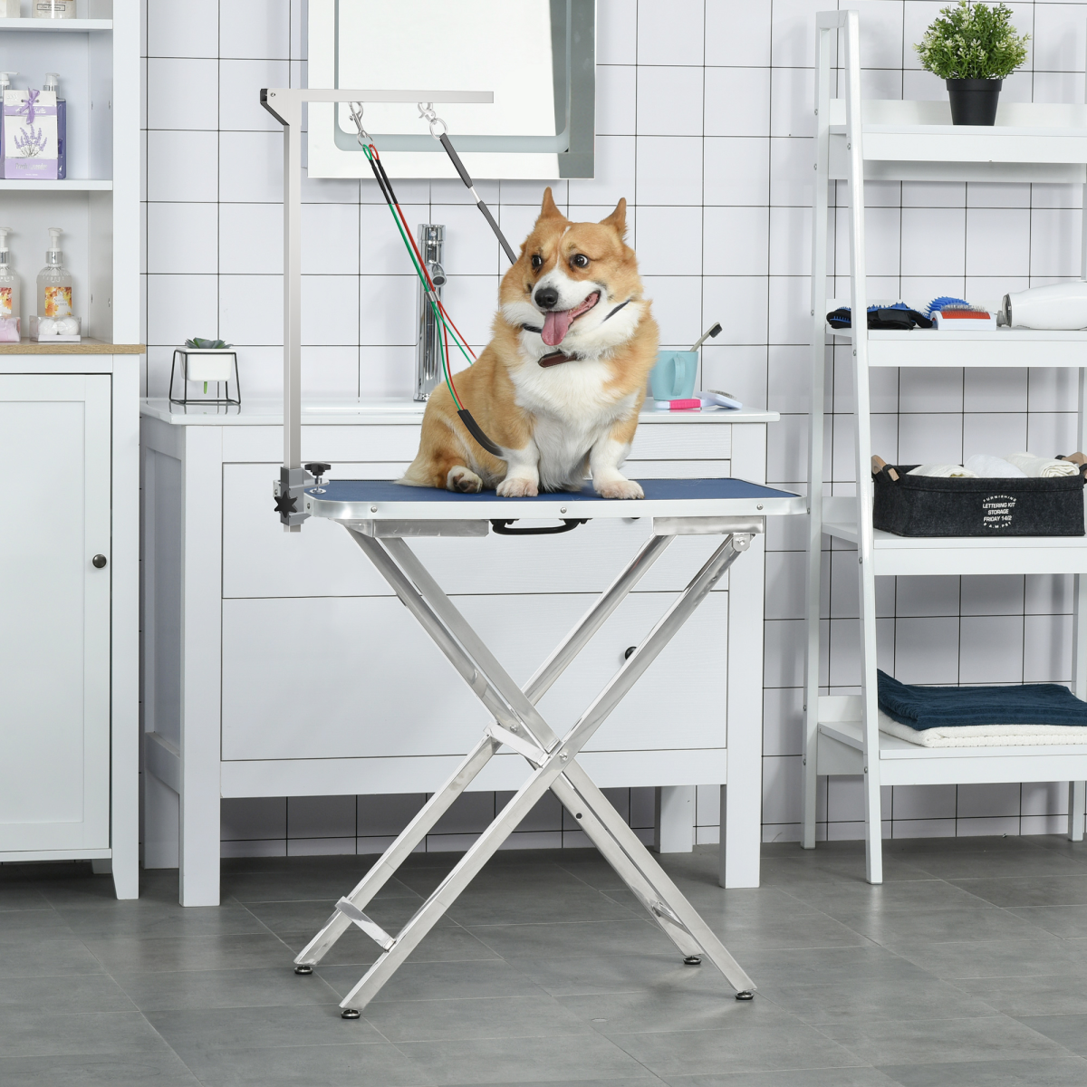 Stainless Foldable Adjustable Pet Grooming Arm with Clamp for Medium Dogs