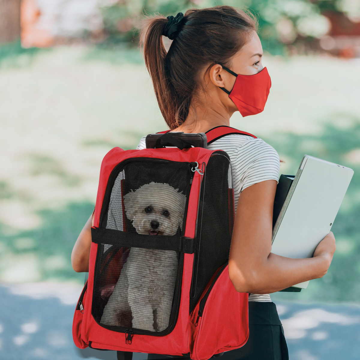 2-in-1 Pet Travel Backpack & Trolley Carrier with Telescopic Handle
