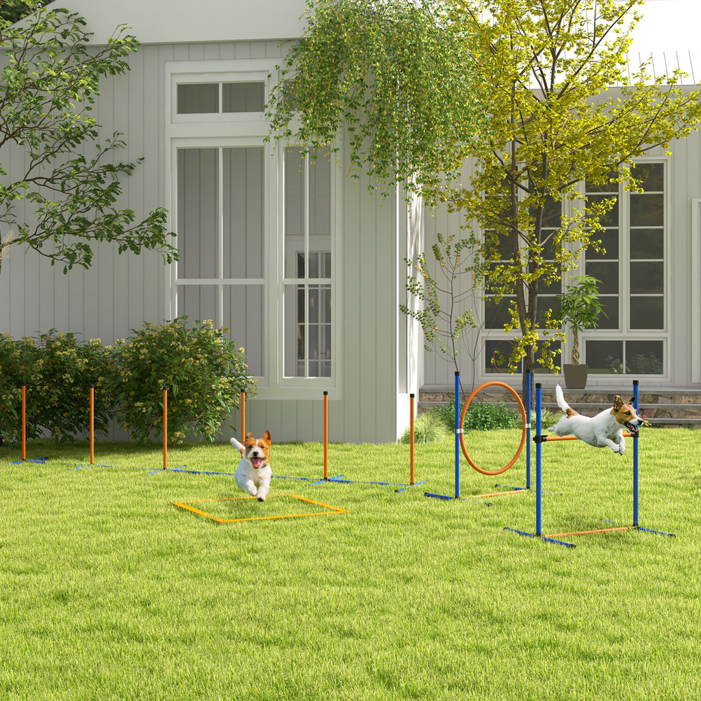 PawHut 4-Piece Dog Agility Set with Carry Bag - Poles, Hurdle, Ring, Pause Box