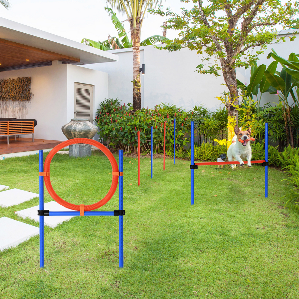 Pet Agility Training Kit: Adjustable Jump Hoop, Poles & Tunnel