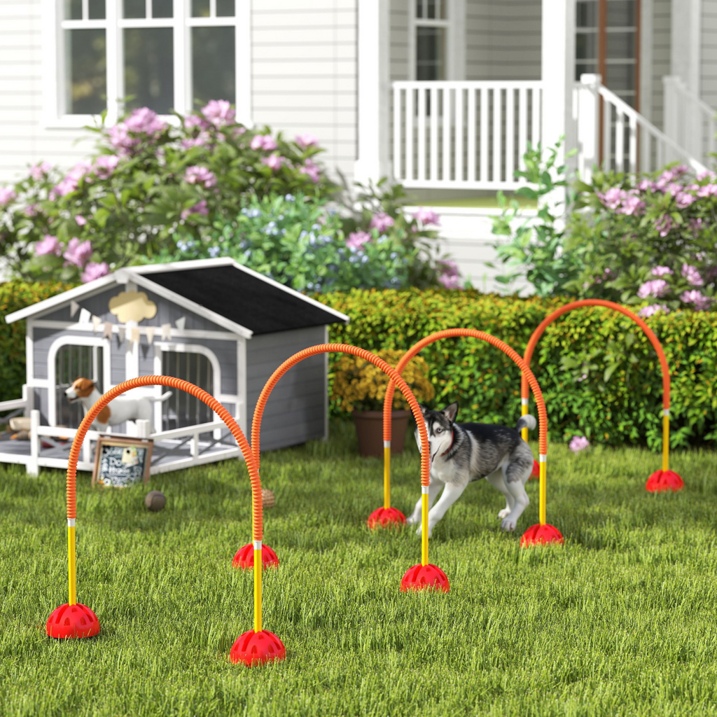 PawHut 4-Piece Dog Agility Set with Carry Bag Portable & Adjustable