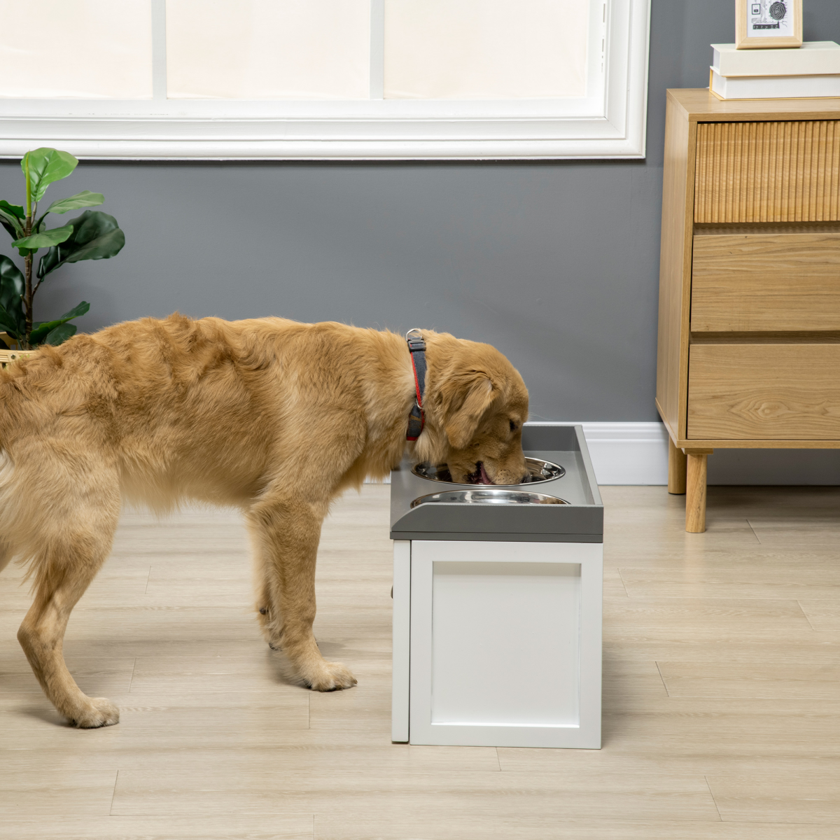 Elevated Pet Feeder with 21L Drawer Storage - For Large Dogs & Cats, White