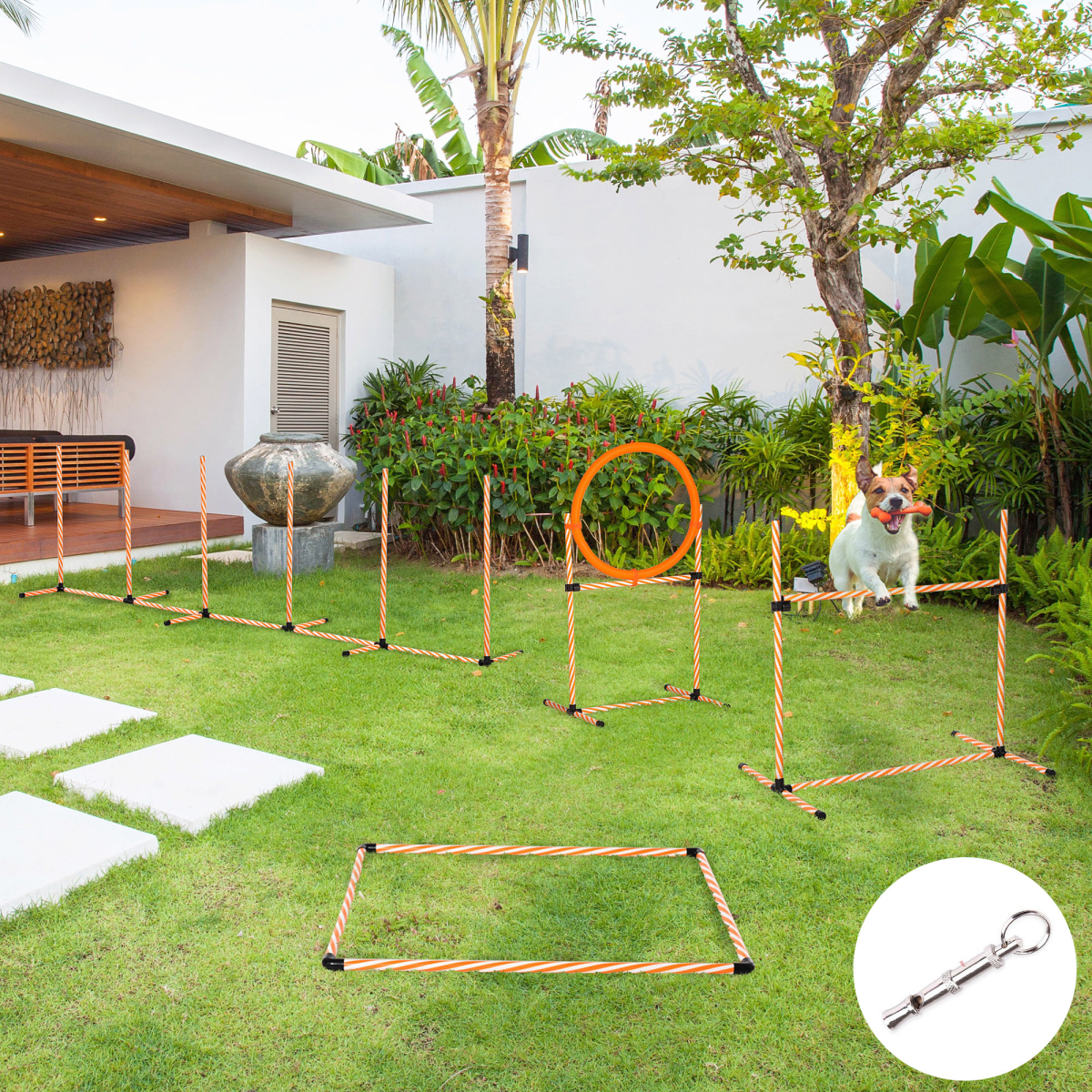 Pet Agility Training Set: Adjustable Hurdles, Ring, Whistle & Carry Bag