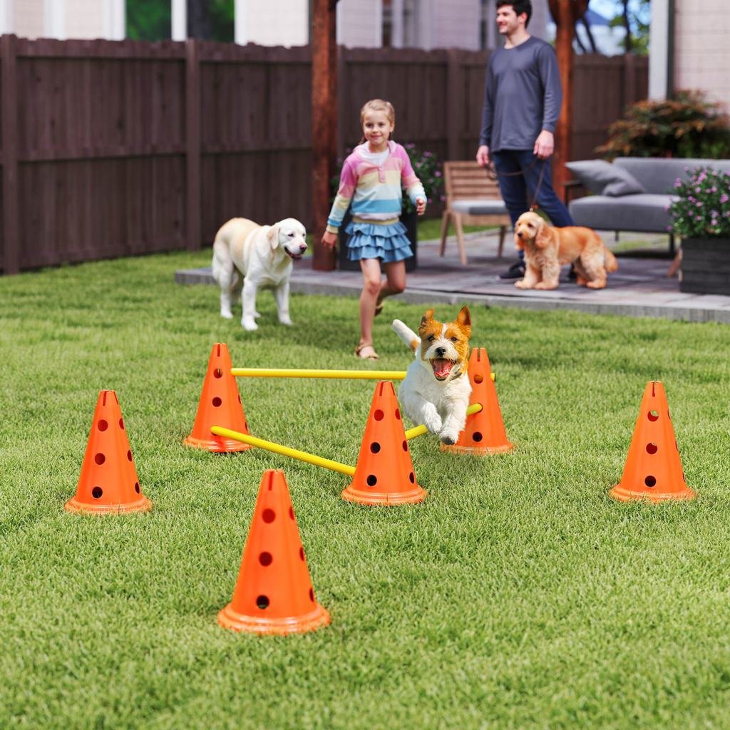 Durable PawHut 3-Piece Adjustable Dog Agility Set with Jump Obstacles