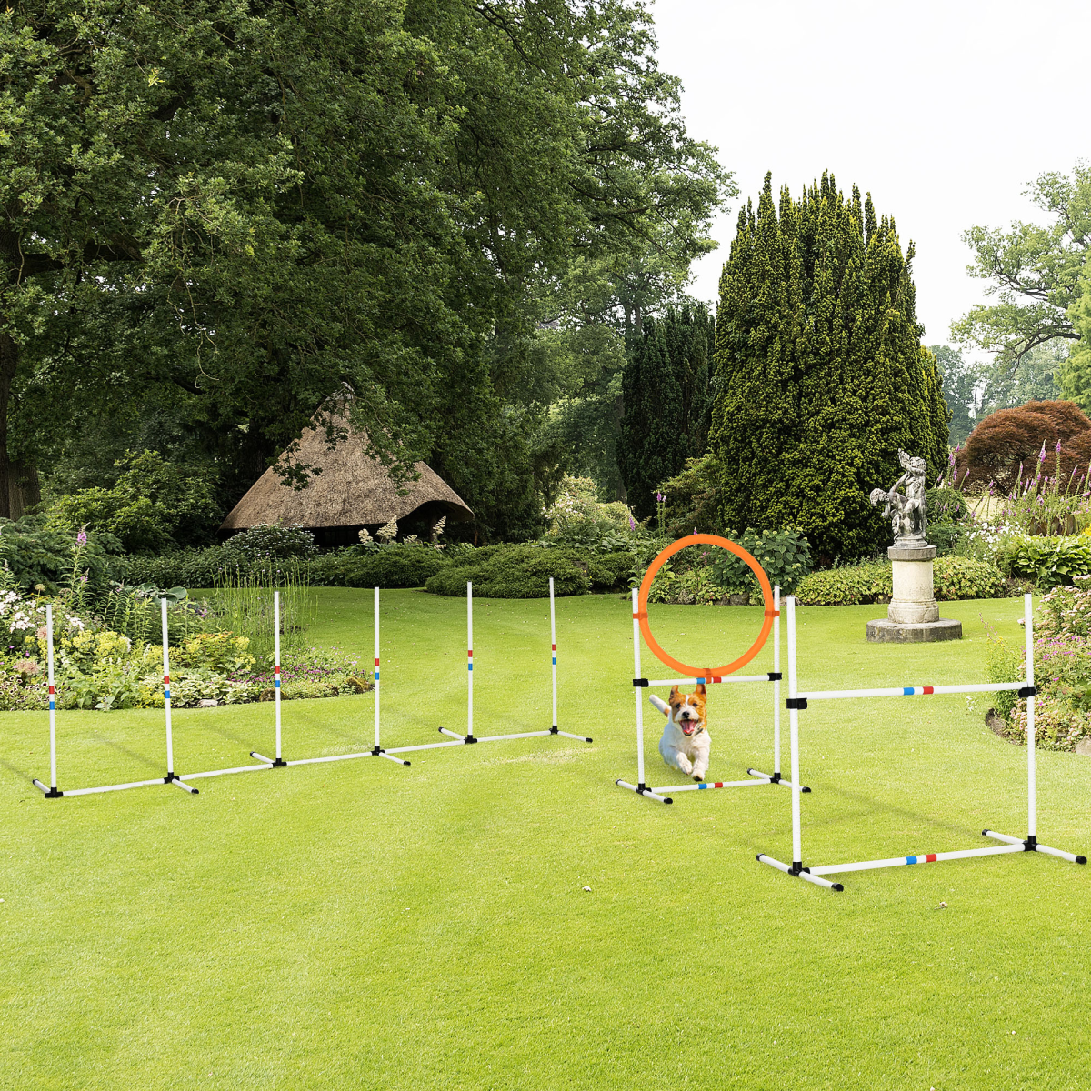 Portable 3-Piece Dog Agility Set: Jump, Weave & Ring Obstacles