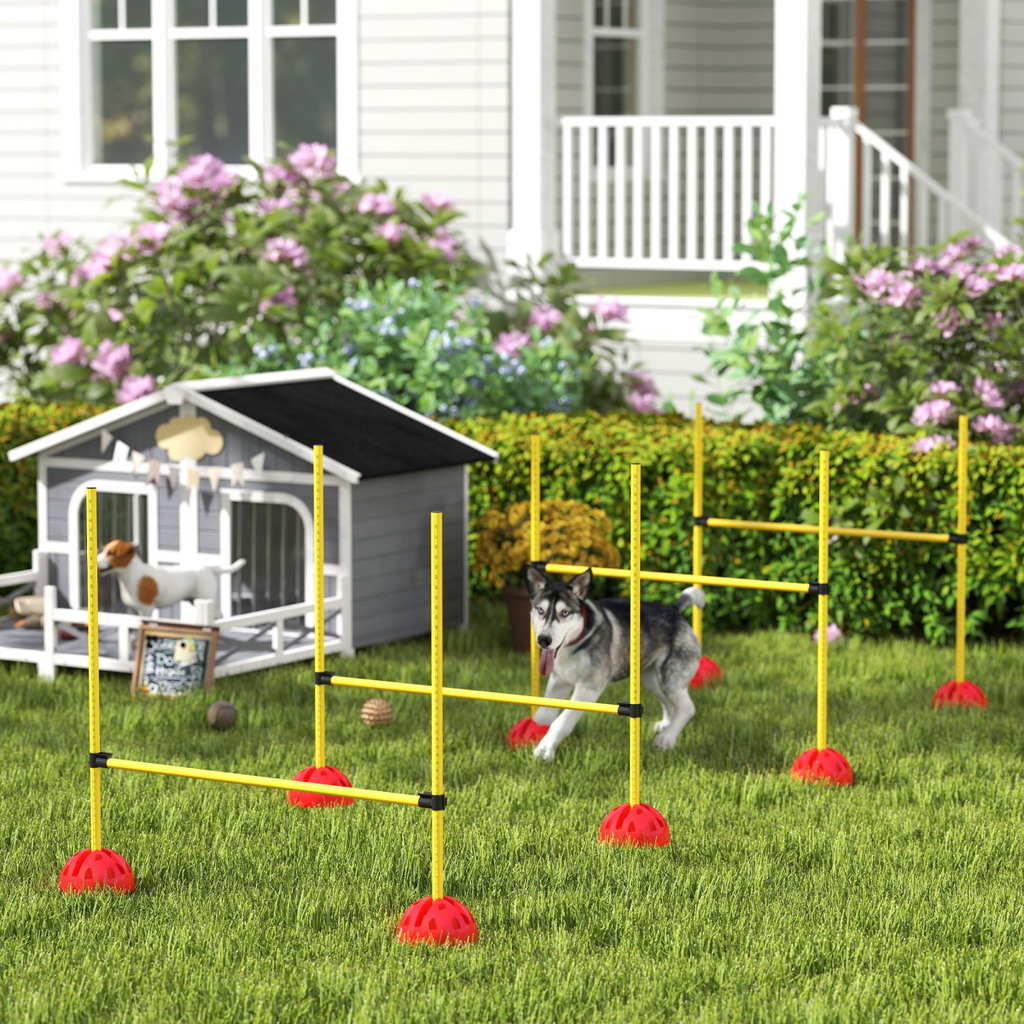 PawHut 4-Piece Dog Agility Jump Set with Adjustable Hurdles and Carry Bag