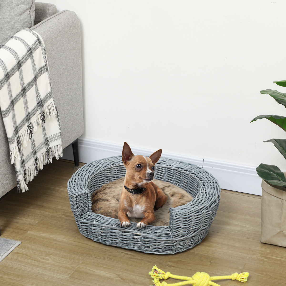 Elevated Willow Wicker Pet Bed & Cushion for Cats & Small Dogs