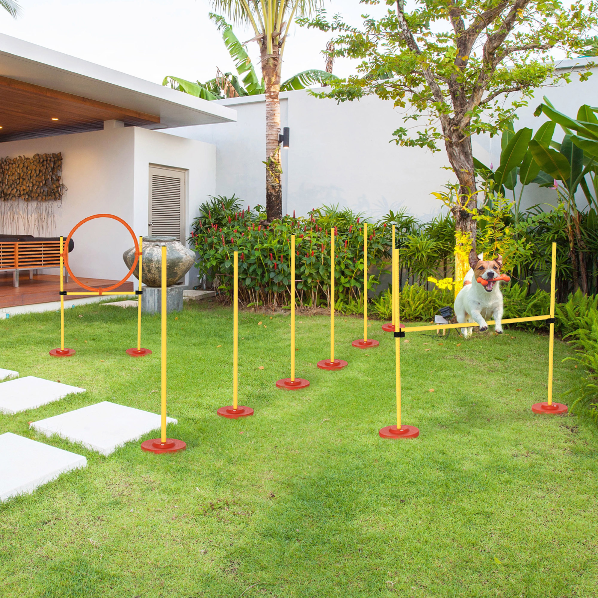 Portable Pet Agility Set: Adjustable Jump Poles, Ring & Turnstile Obstacles