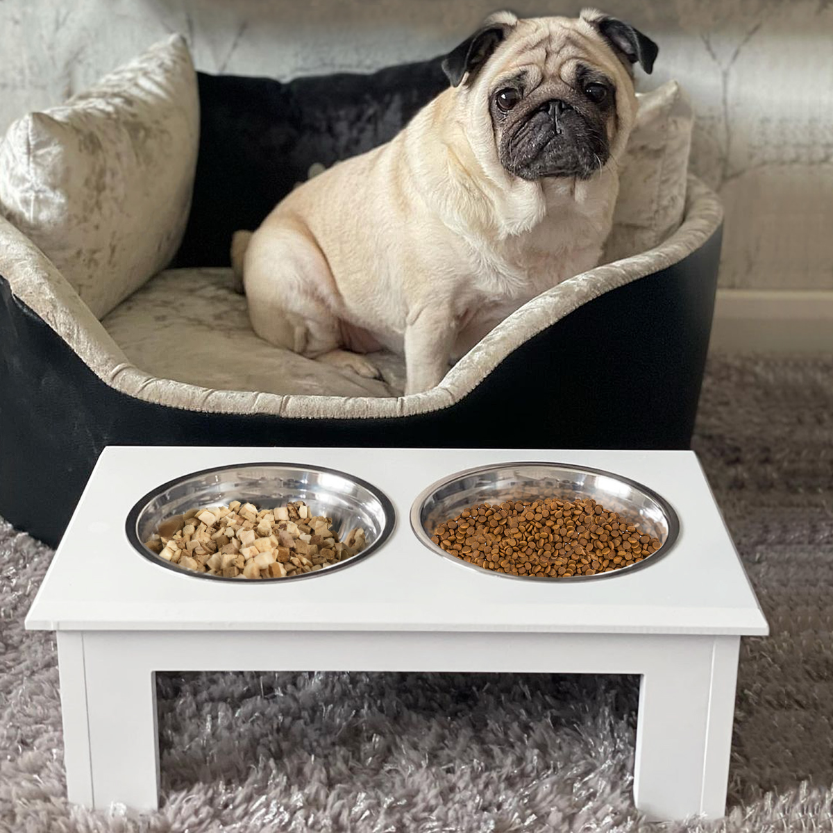 Pet Feeder Raised Stainless Steel Bowls Stand - Food & Water (White, Small)