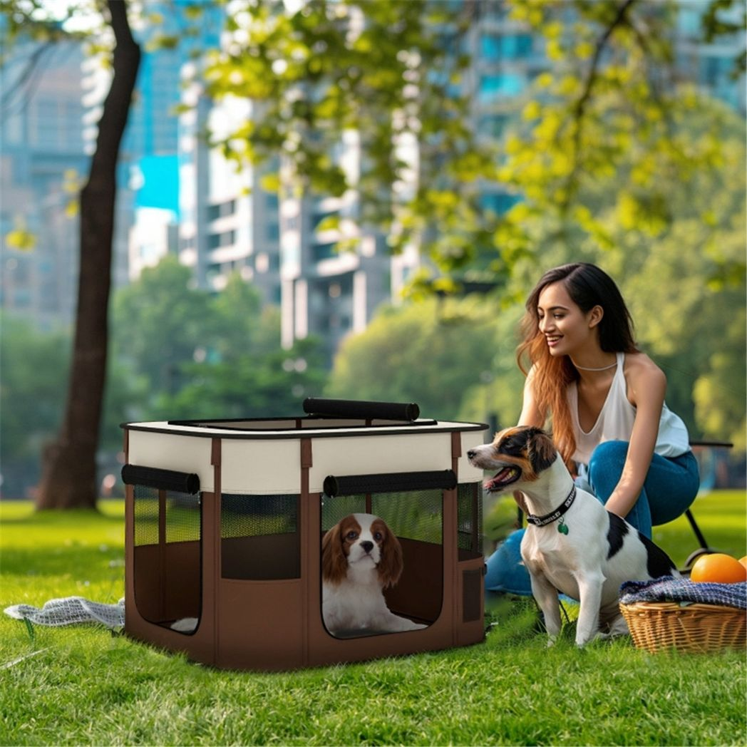 AirLite Pet Carrier: Breathable, Secure Travel for Cats & Dogs