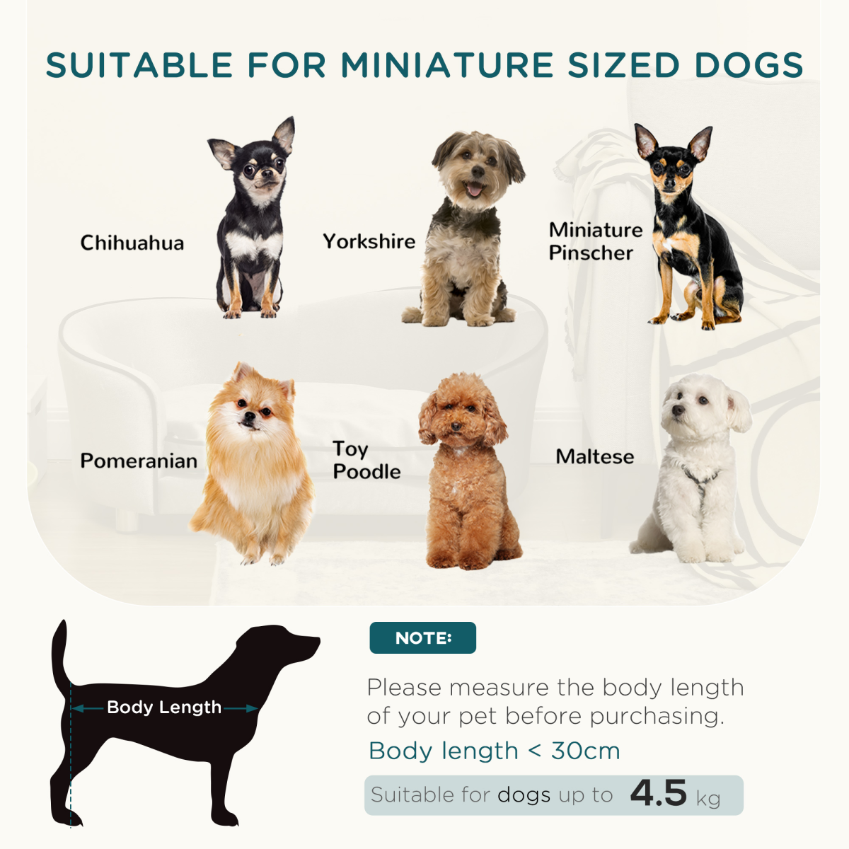 Modern Dog Sofa Bed with Storage Pocket, Removable Cushion, Non-Slip