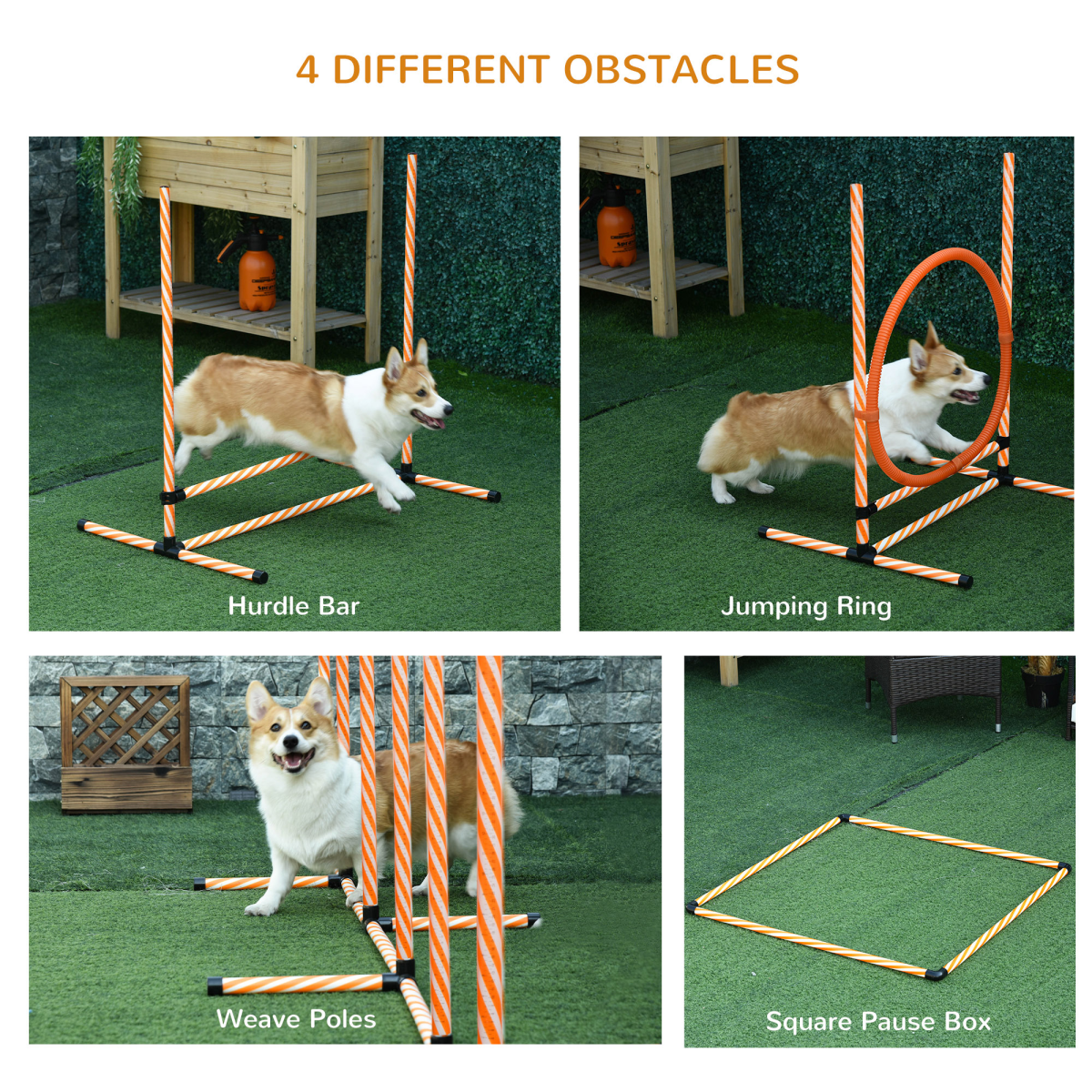 Pet Agility Training Set: Adjustable Hurdles, Ring, Whistle & Carry Bag