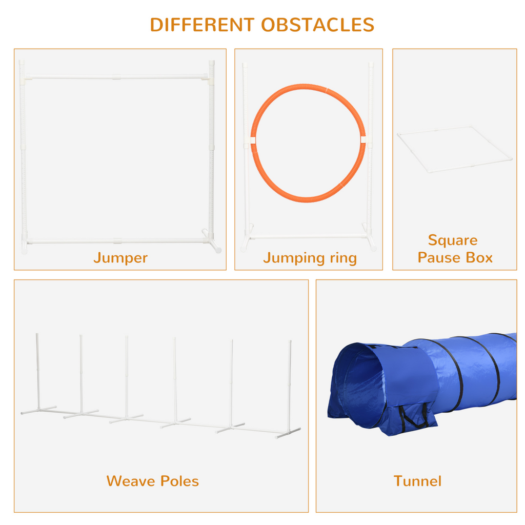 Six-Piece Dog Agility Kit with Carry Bag - Multicoloured