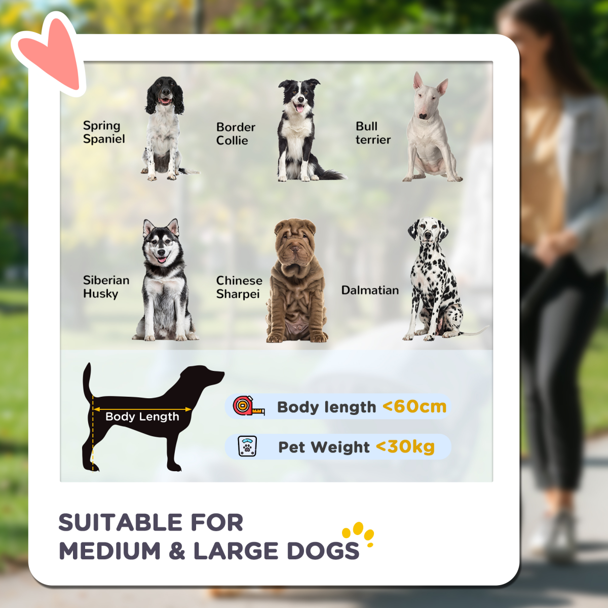 PawHut Foldable Dog Carriage with Universal Wheels & Shock Absorber - Black