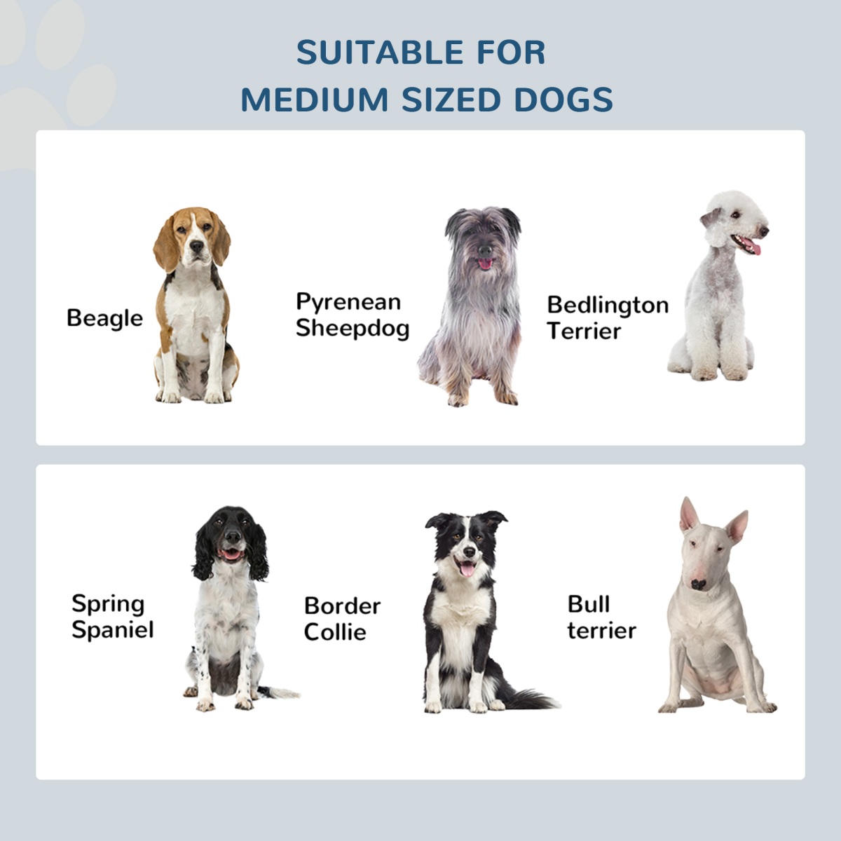 Pawhut Elevated Dual Stainless Steel Dog Bowls with Non-Slip Base