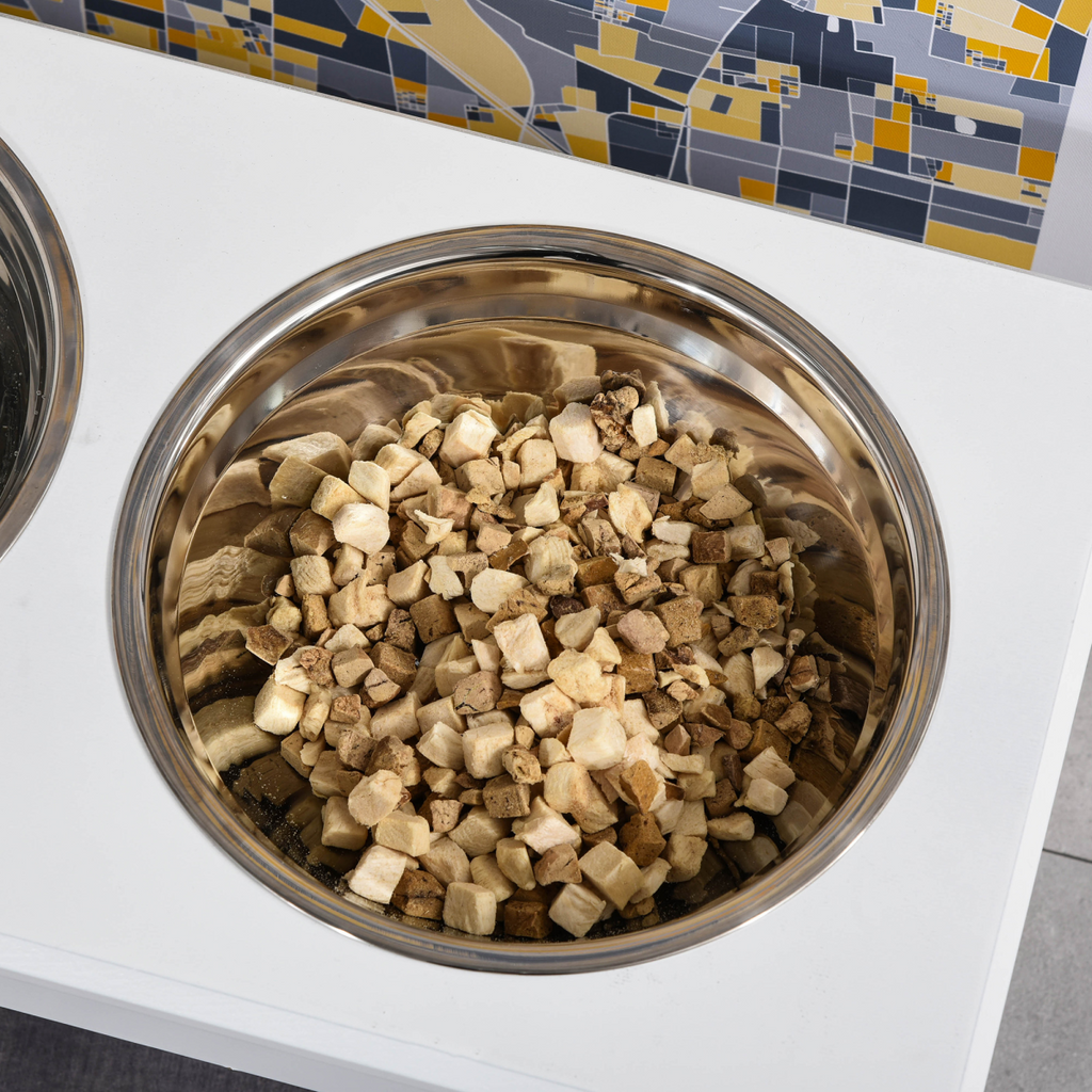 Elevated Dog Bowl with Sturdy Stand – Anti-Spill & Easy Cleanup