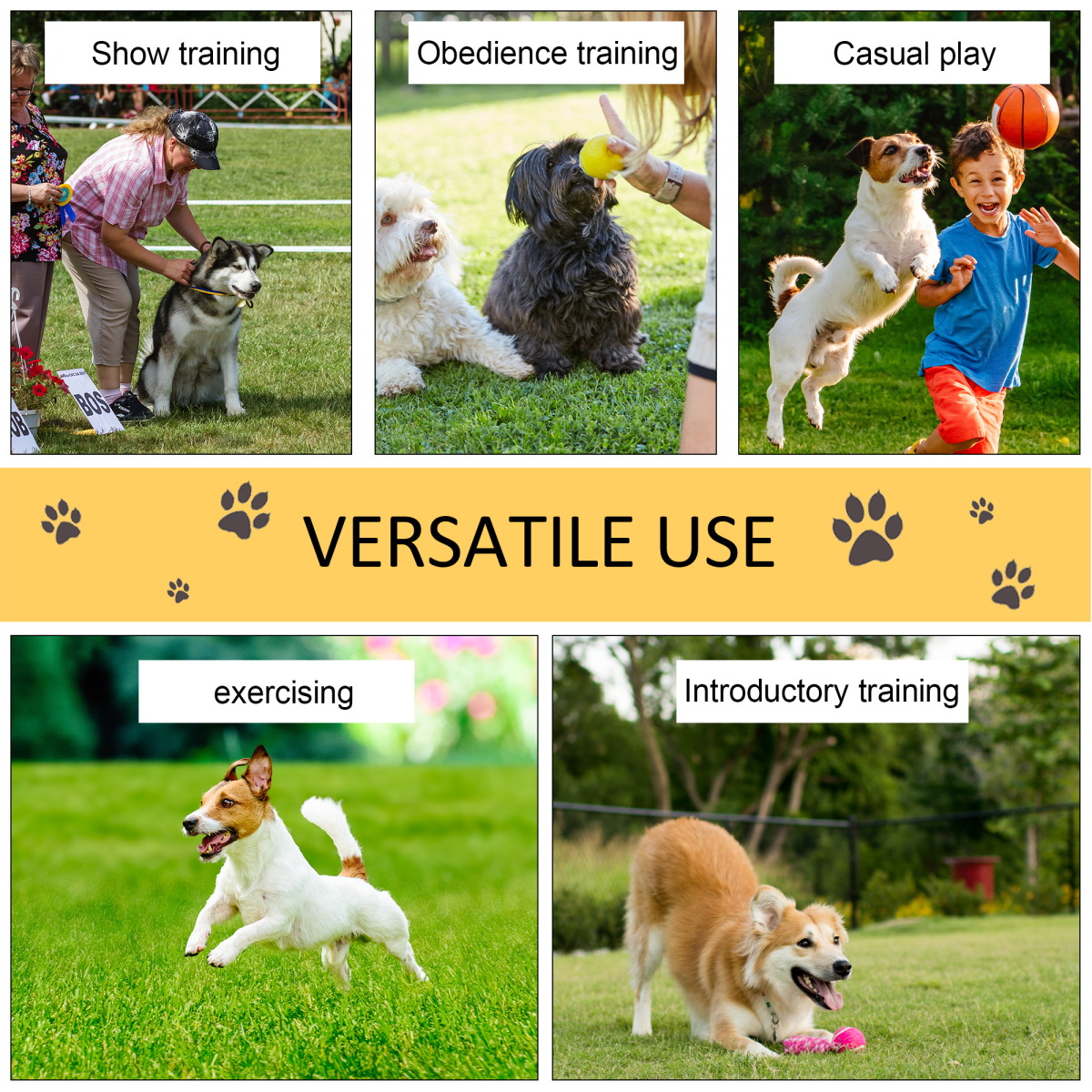 All-in-One Pet Agility Training Kit: Hoop, Poles, Tunnel