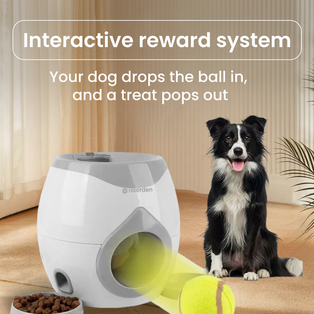 FetchMate: Auto Fetch & Treat Dispenser for Dogs & Cats