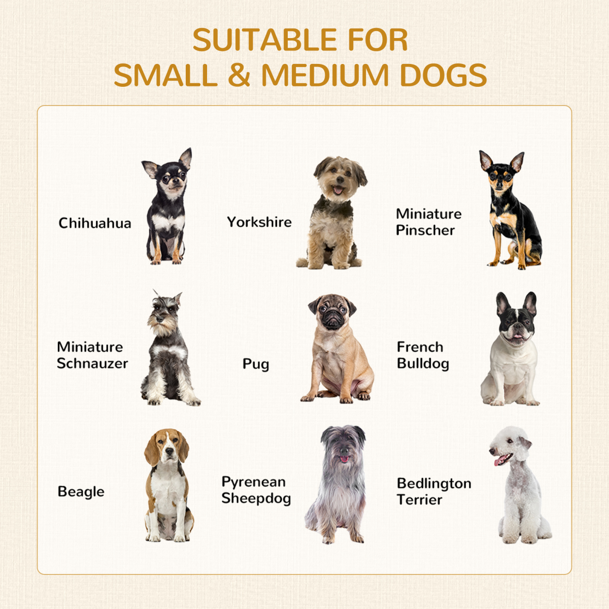 Furniture-Style Double-Door Dog Crate for Medium Dogs - Indoor Grey