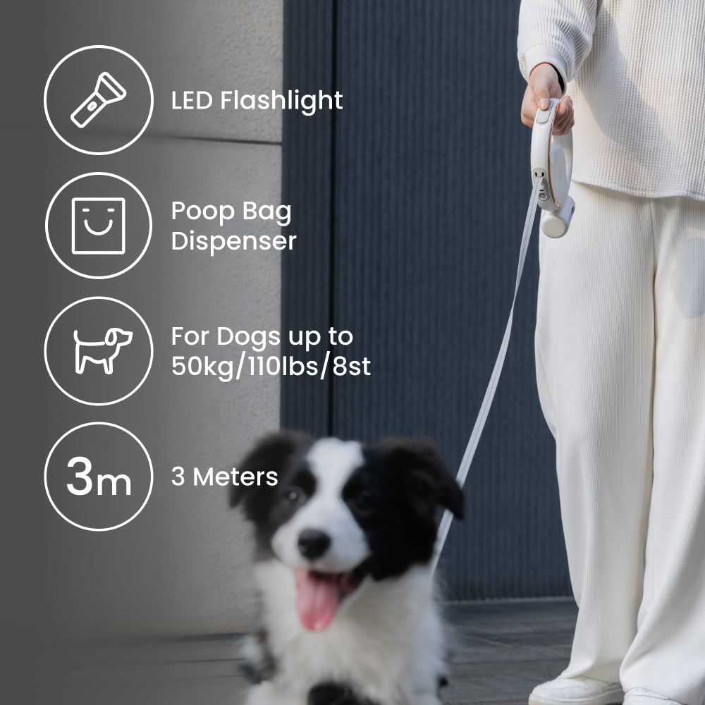 Lumi Leash: 4-in-1 Reflective LED Torch & Poop Bag Dispenser