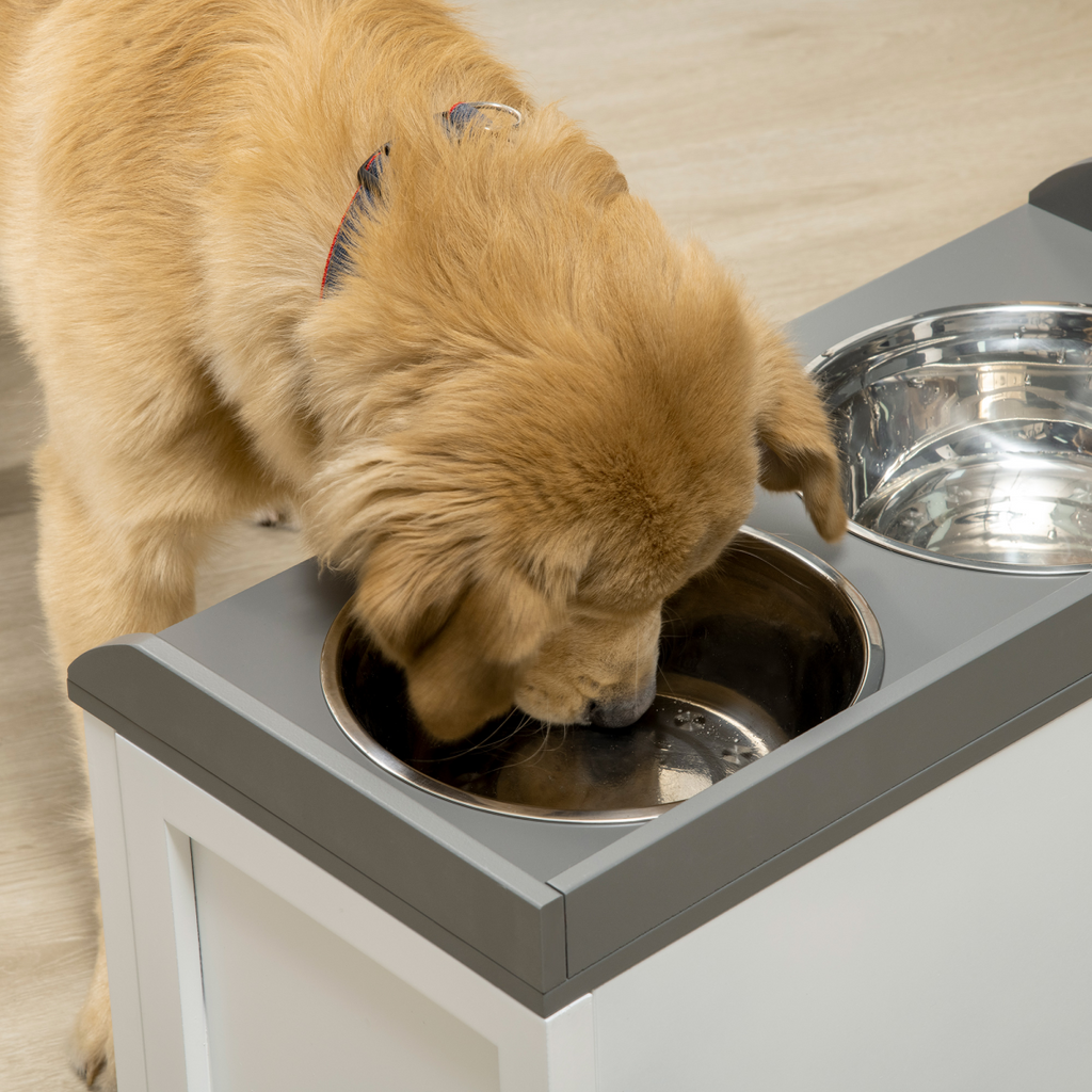 Elevated Pet Feeder with 21L Drawer Storage - For Large Dogs & Cats, White