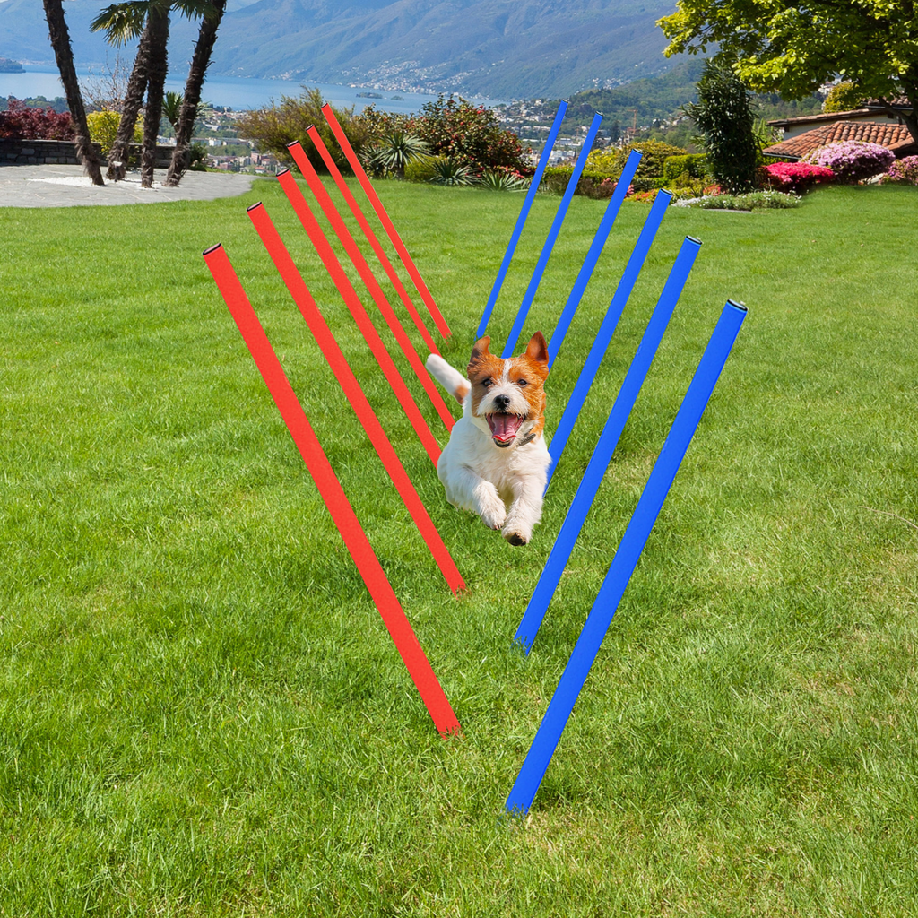 All-in-One Pet Agility Training Kit: Hoop, Poles, Tunnel