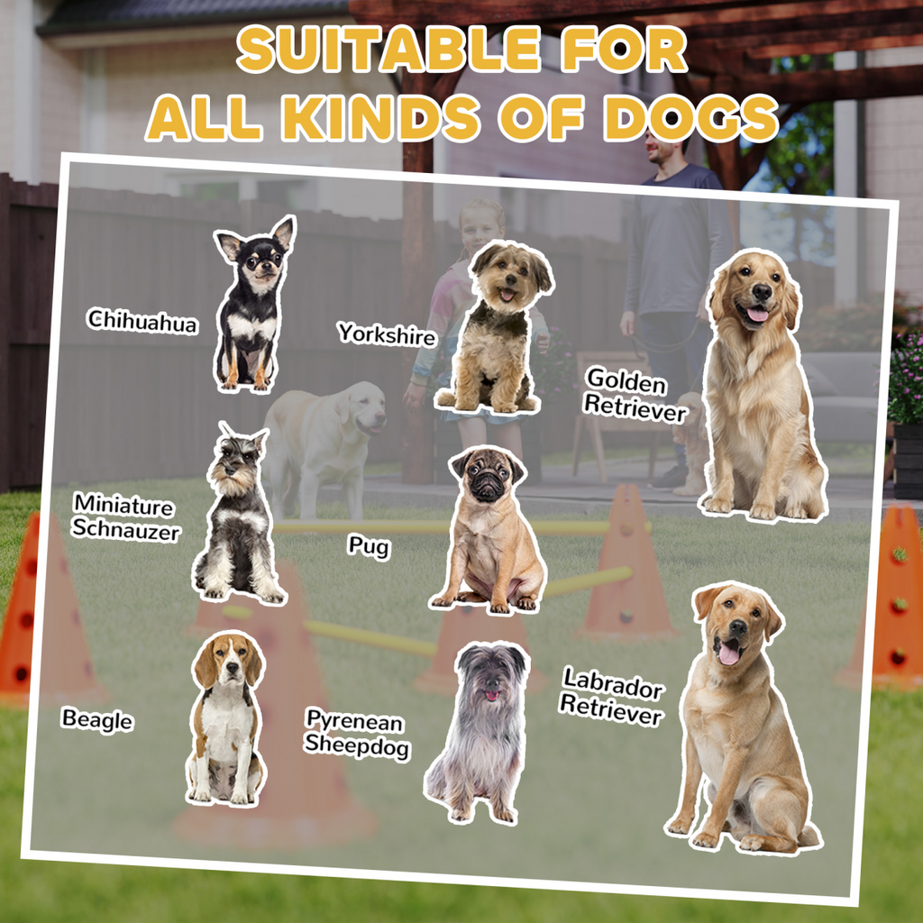 Durable PawHut 3-Piece Adjustable Dog Agility Set with Jump Obstacles