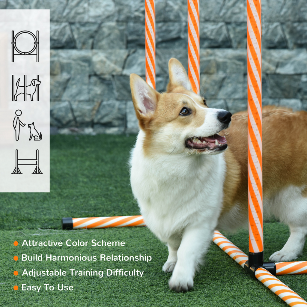 Pet Agility Training Set: Adjustable Hurdles, Ring, Whistle & Carry Bag