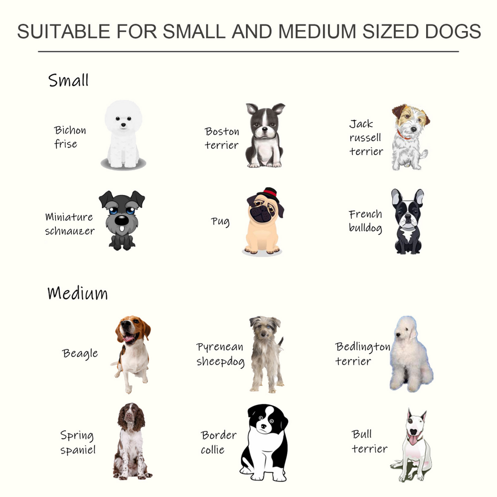 Raised Pet Feeder: Elevated Stainless Steel Double Bowls with Anti-Slip Base
