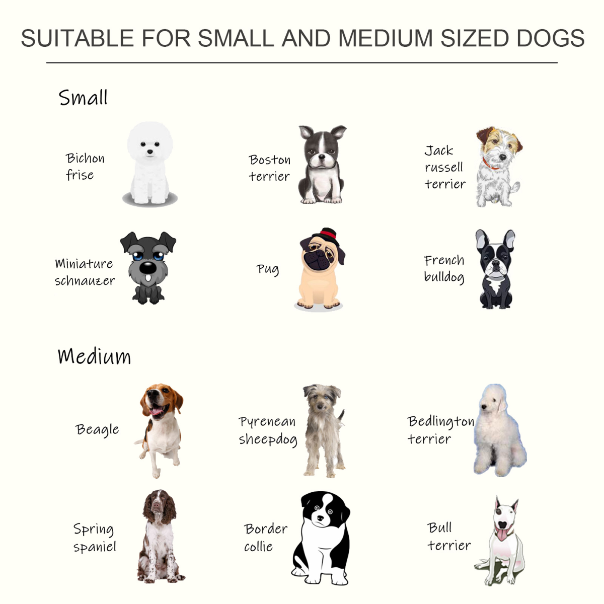 Raised Pet Feeder: Elevated Stainless Steel Double Bowls with Anti-Slip Base