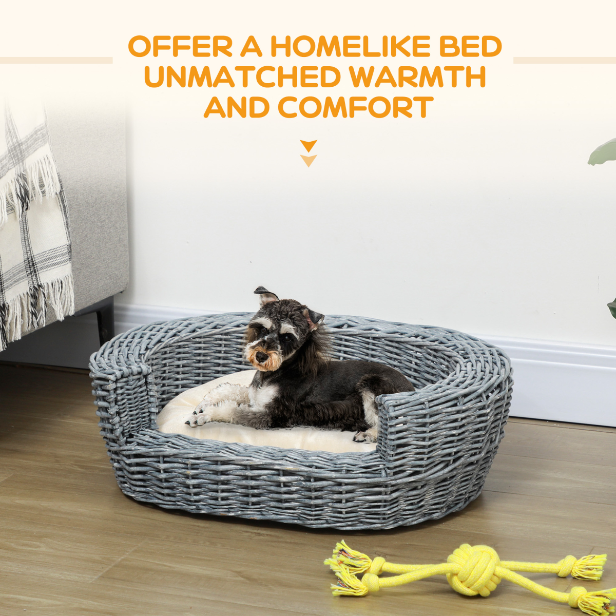 Elevated Willow Wicker Pet Bed & Cushion for Cats & Small Dogs
