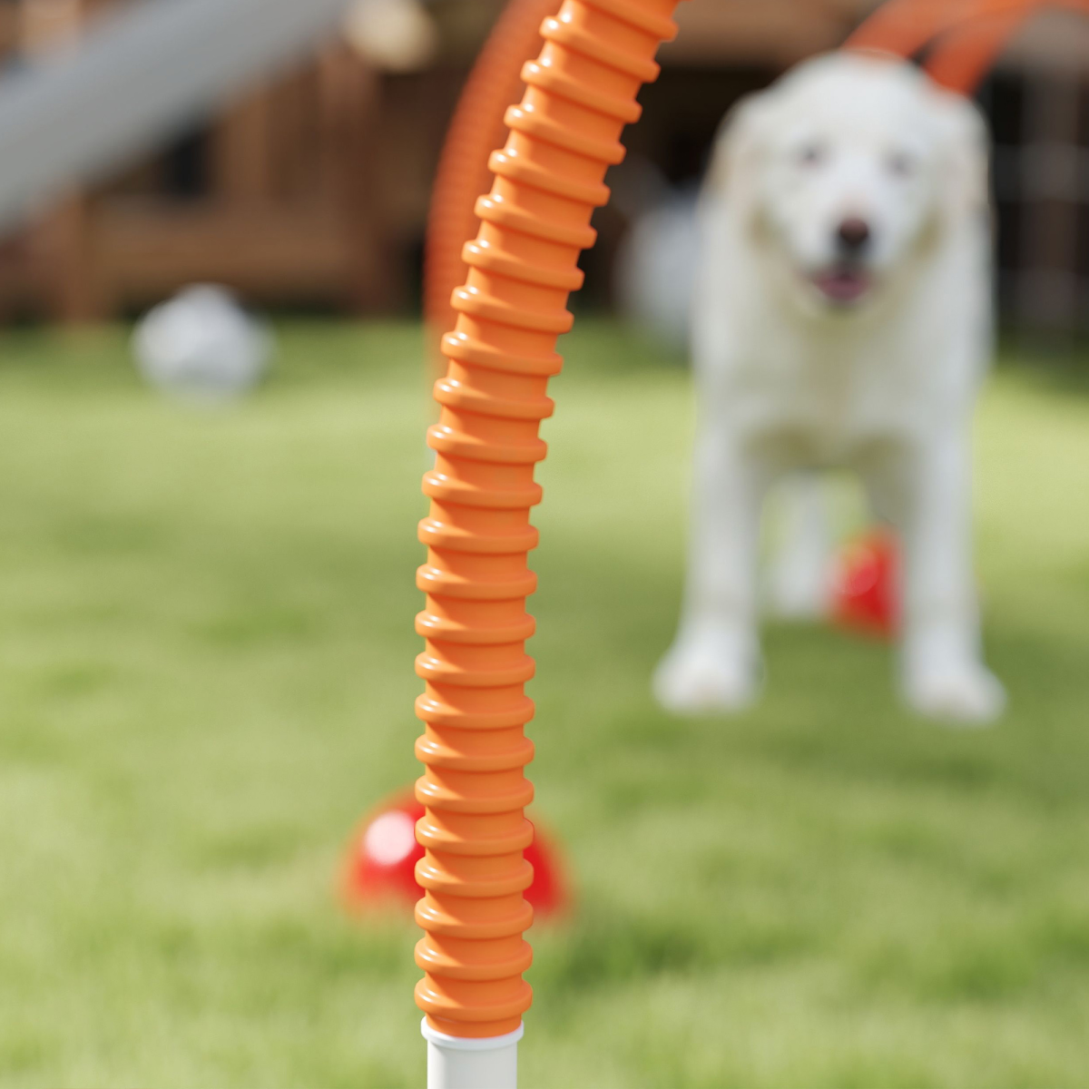 PawHut 4-Piece Dog Agility Set with Carry Bag Portable & Adjustable