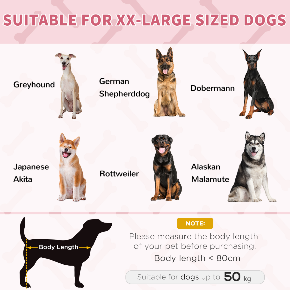 CoolAir Elevated Dog Bed - Portable Raised Pet Cot for Indoors/Outdoors