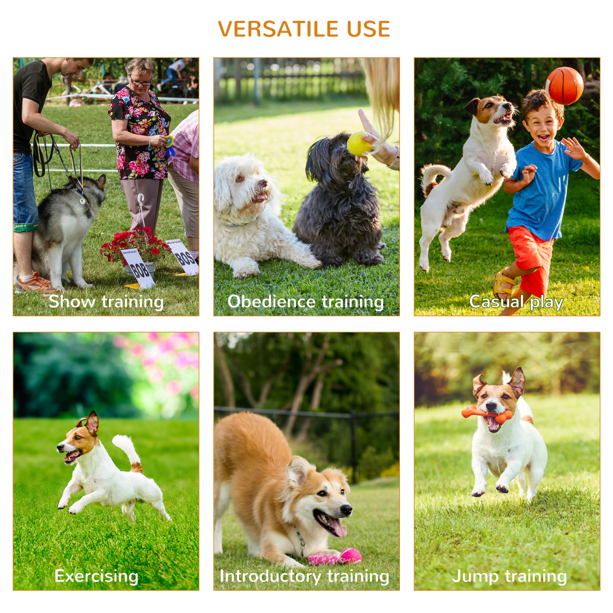 Portable 3-Piece Dog Agility Set: Jump, Weave & Ring Obstacles