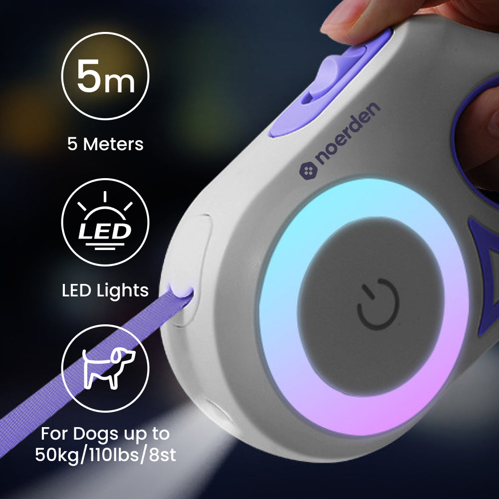 Flexi Leash Pro: LED Night-Glow Retractable Leash for Safer Walks