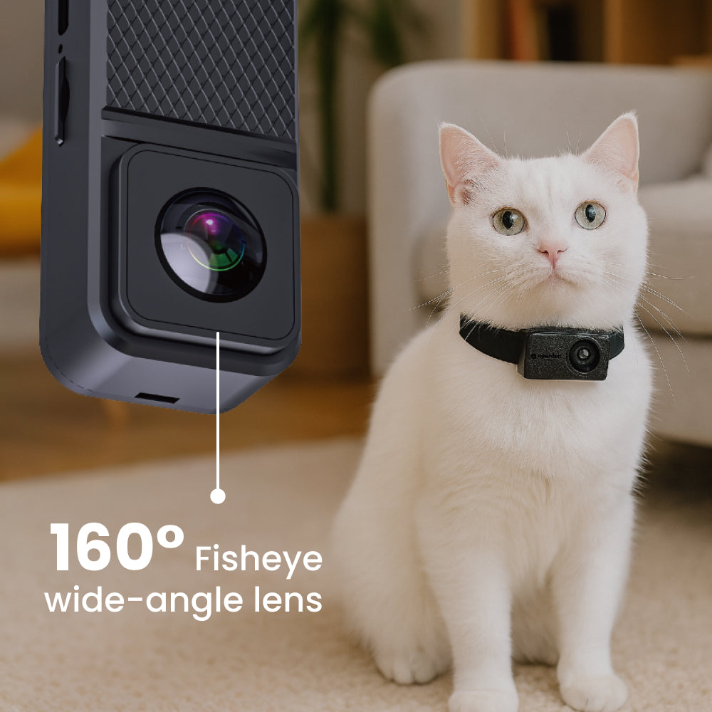 PetPOV HD Camera Collar - See the World from Your Pet's View