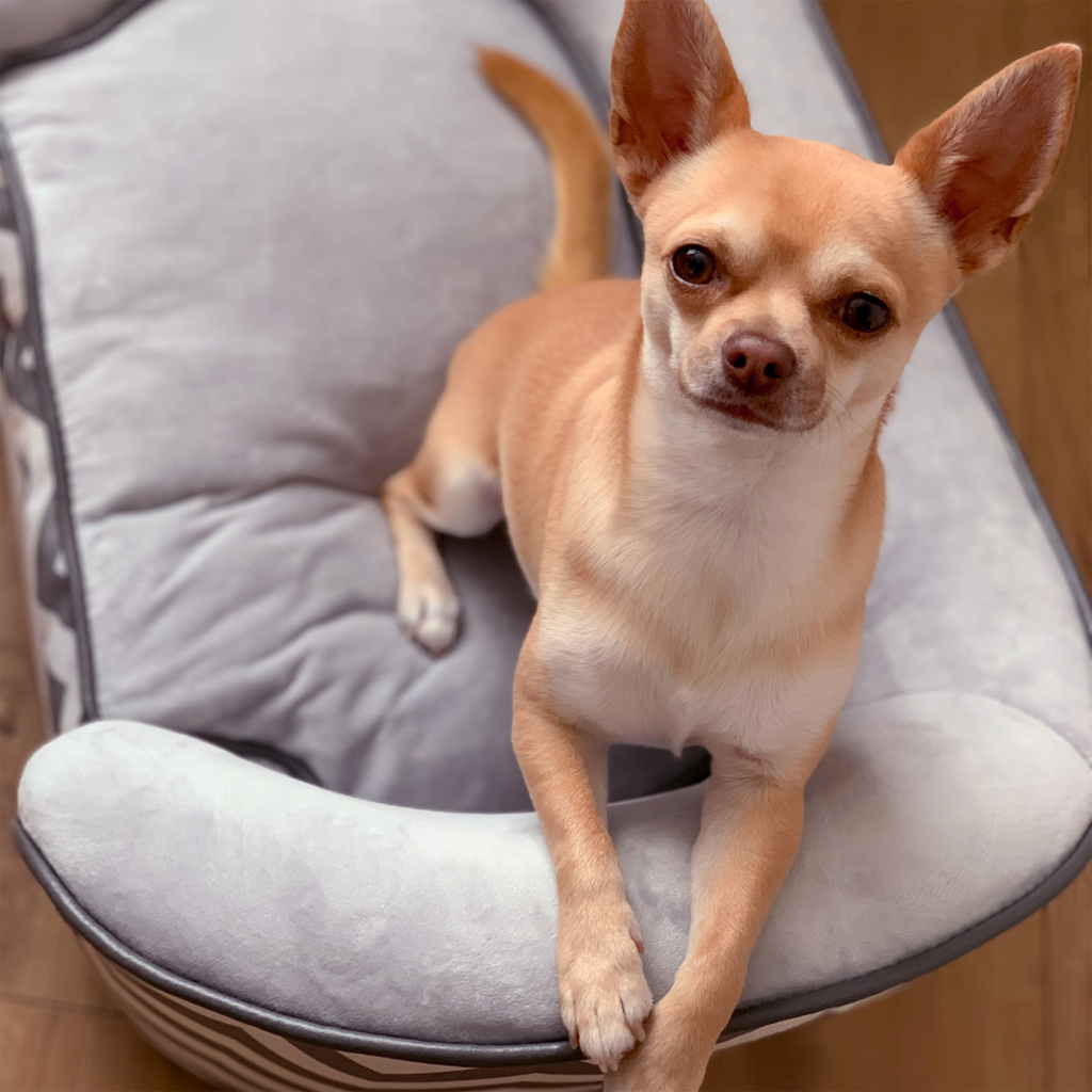 PawHut XS Dog Sofa with Removable Cushion - Grey Plush Bed