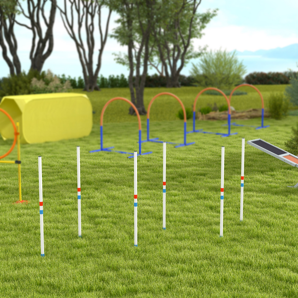 Six-Pole Dog Agility Starter Kit with Foldable Poles & Carry Bag
