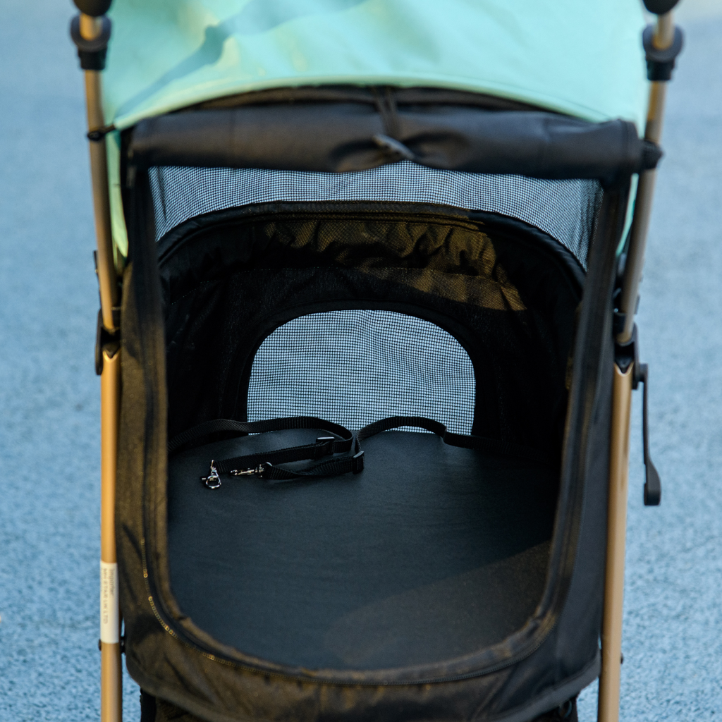 PawHut Pet Stroller for XS/S Dogs with Rain Cover - Green