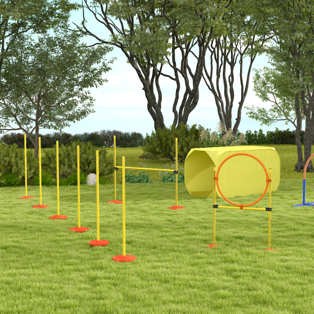 4-Piece Dog Agility Set for Easy Backyard Training Course