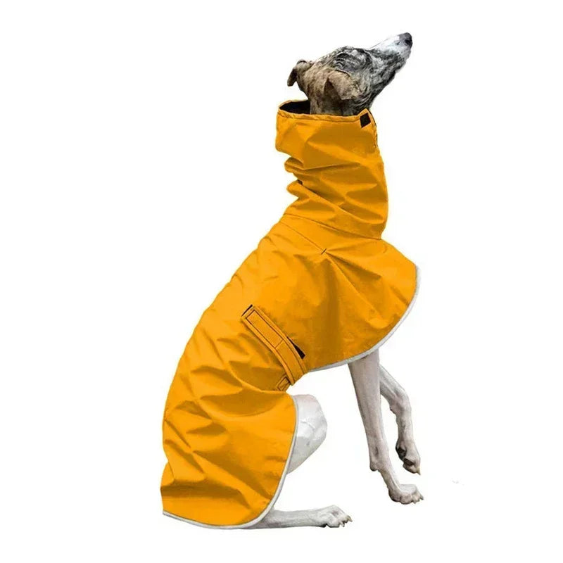 Italian Greyhound / Whippet Waterproof Winter Coat
