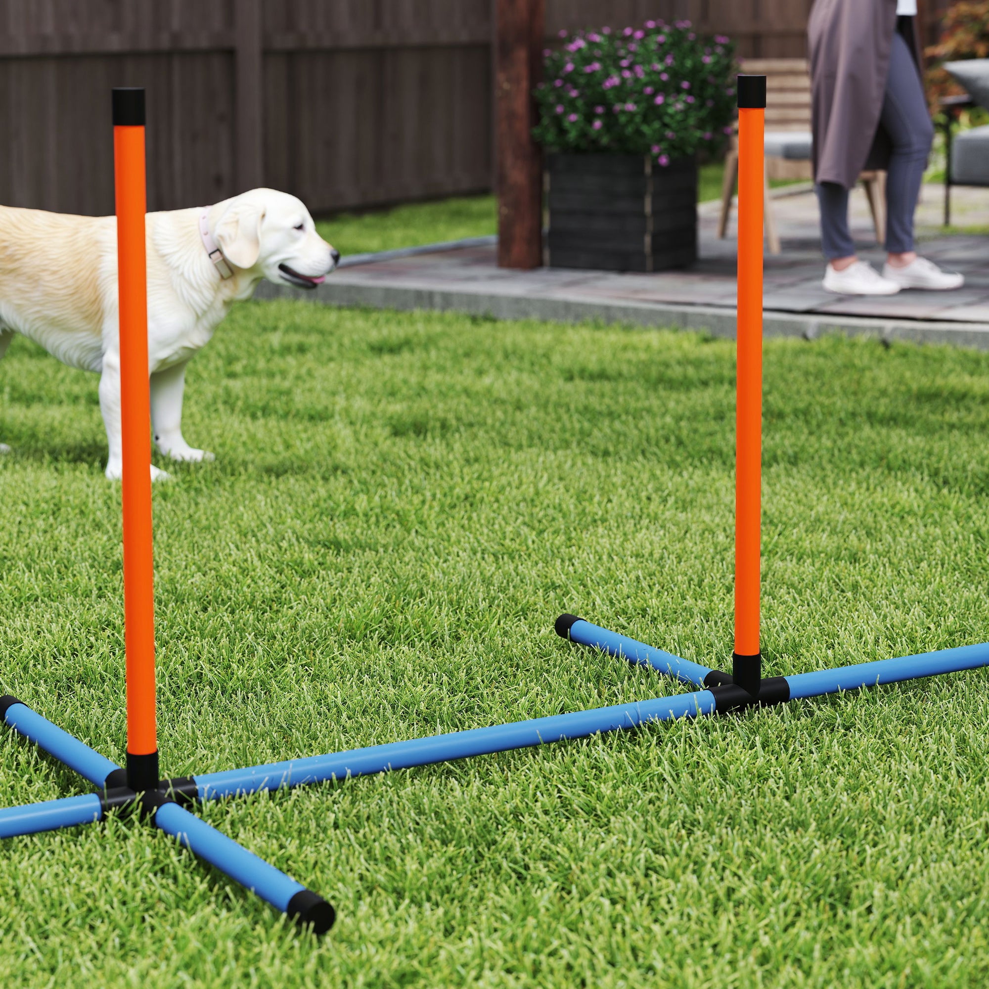 PawHut 7-Piece Dog Agility Kit: Jumps, Weave Poles, Pause Box - Orange