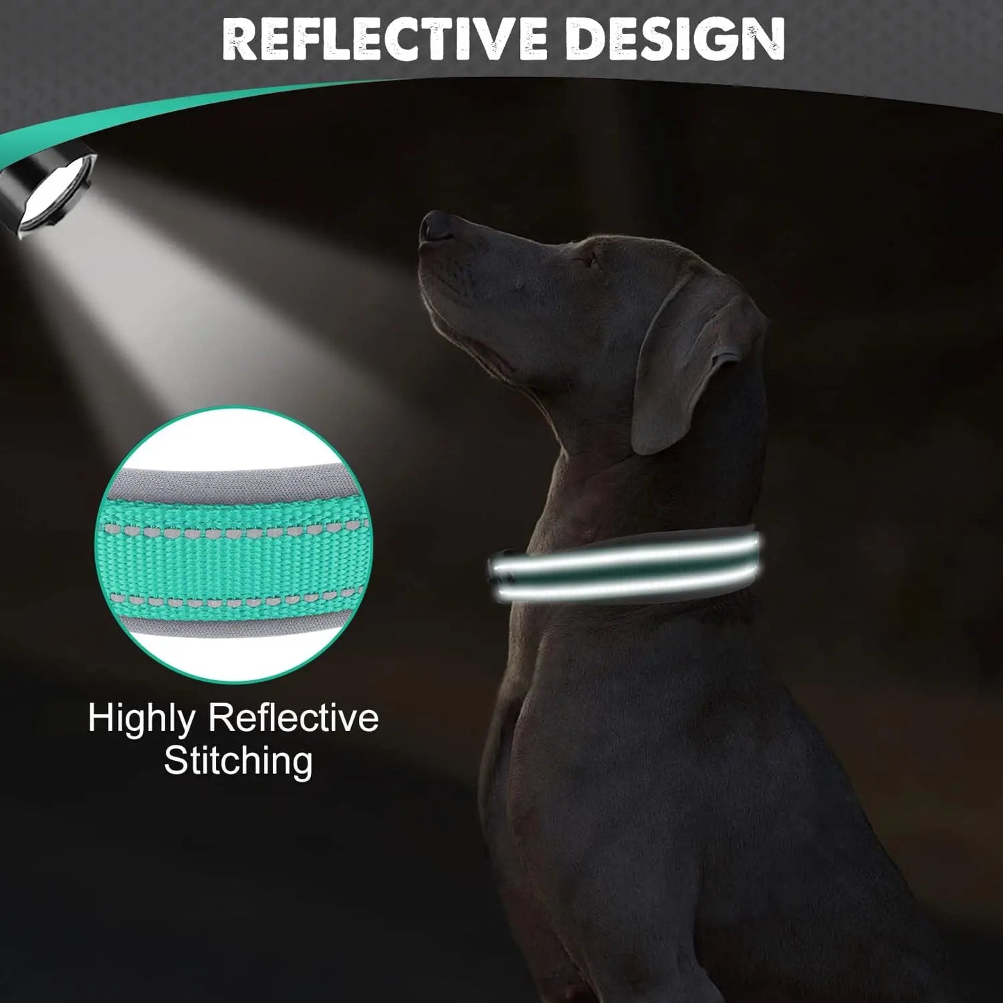 Reflective Padded Nylon Dog Collar – Heavy Duty & Adjustable