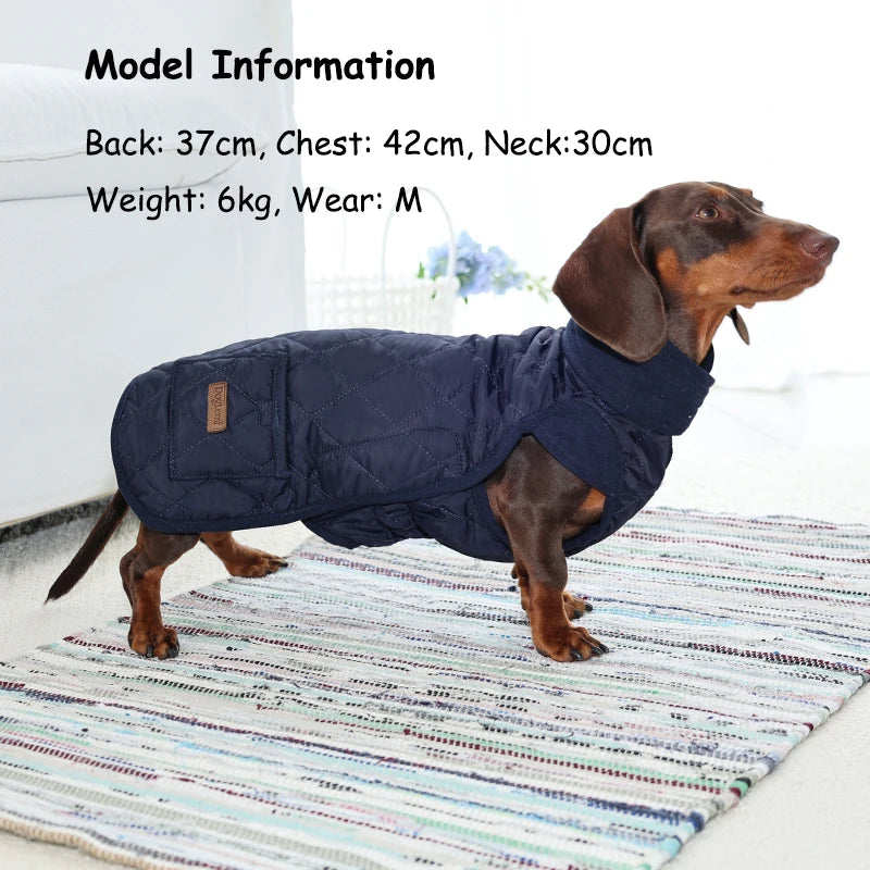 Winter Dog Coat for Dachshund – Water-Repellent Quilted Jacket for Small, Short-Leg Dogs 🐾