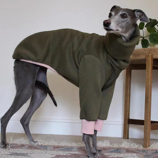 Winter Cotton Dog Coat – 4-Legged Warm Sweatshirt for Whippet, Italian Greyhound & Medium-Large Breeds 🐾